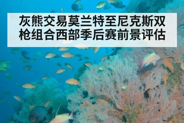灰熊交易莫兰特至尼克斯双枪组合西部季后赛前景评估