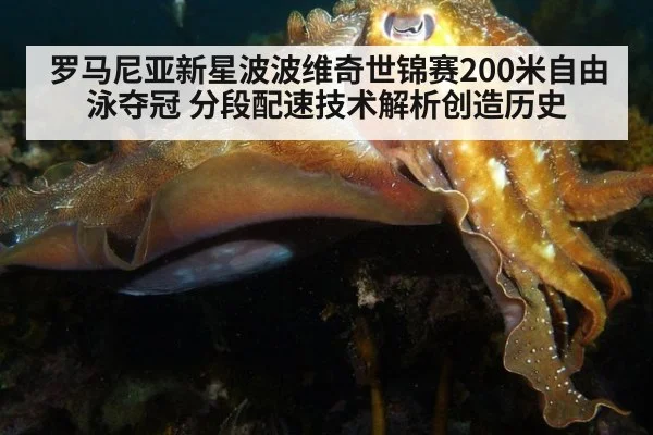 罗马尼亚新星波波维奇世锦赛200米自由泳夺冠 分段配速技术解析创造历史