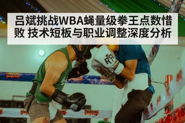 吕斌挑战WBA蝇量级拳王点数惜败 技术短板与职业调整深度分析